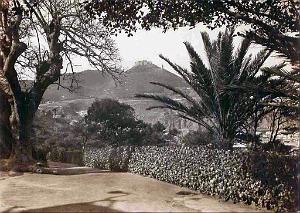PL b - 065- Promenade de Letang B